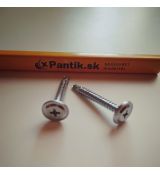 Skrutka 4.2x55 TEX (100ks)