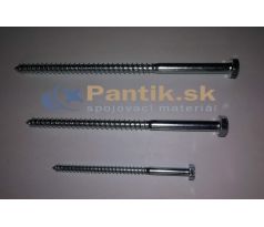 Skrutka 12x300 DIN 571 Zn