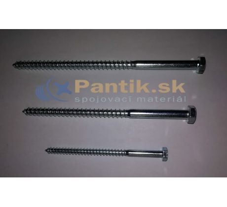 Skrutka 12x300 DIN 571 Zn